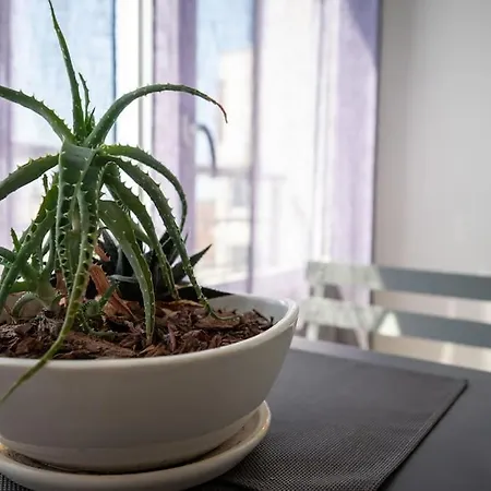 Le Lilas - 2 - Parking *