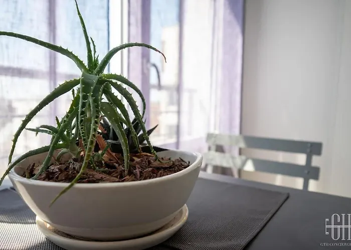 Le Lilas - 2 - Parking *